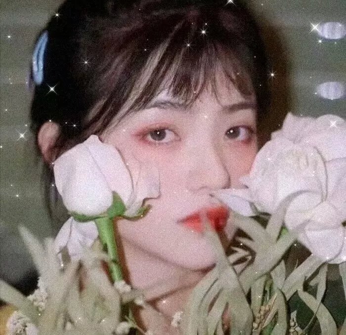 双枪李向阳